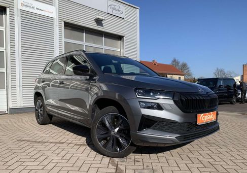 Skoda Karoq, 2025
