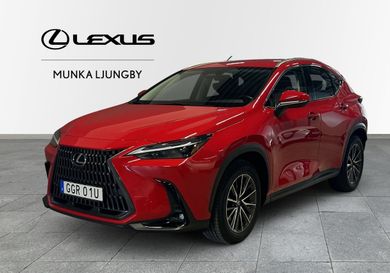 Lexus NX, 2023