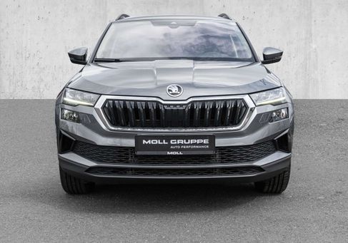 Skoda Karoq, 2023