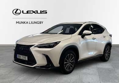 Lexus NX, 2024