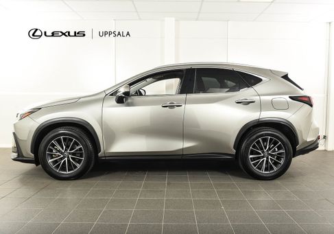 Lexus NX, 2025 2