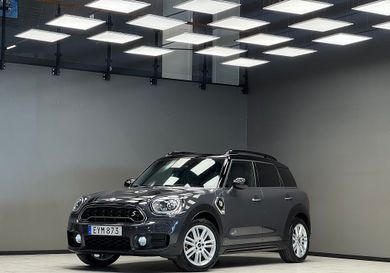 MINI, 2019
