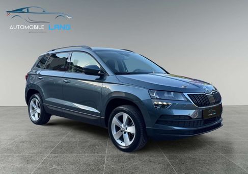 Skoda Karoq, 2020