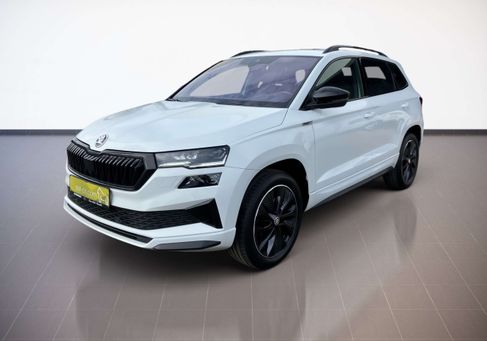 Skoda Karoq, 2023