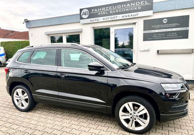 Skoda Karoq, 2019