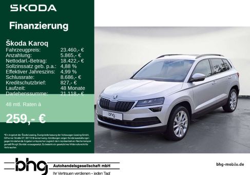 Skoda Karoq, 2020