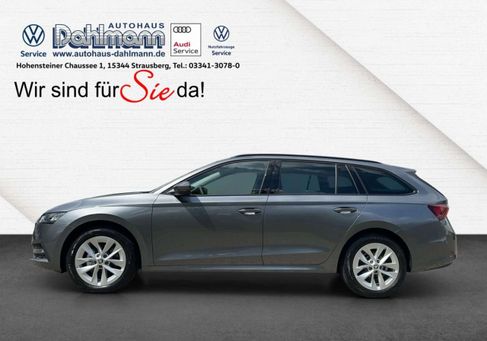 Skoda Octavia, 2024 2