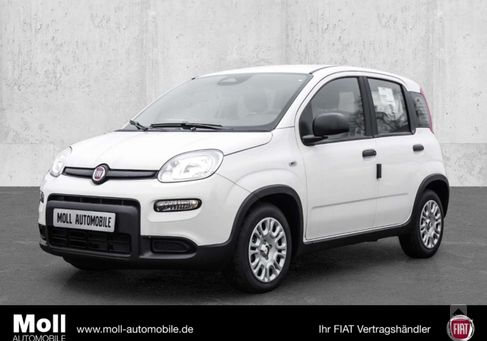 Fiat Panda, 2024