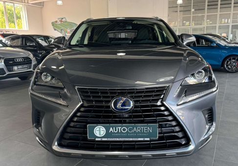 Lexus NX 300, 2021