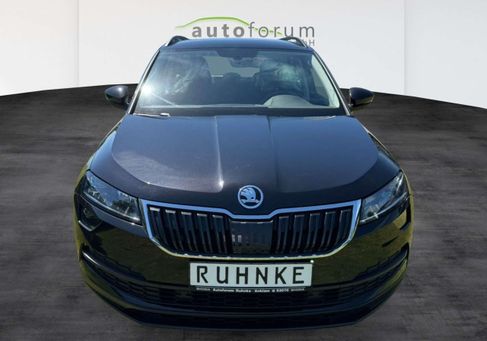 Skoda Karoq, 2019