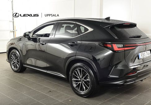 Lexus NX, 2024 3