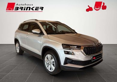 Skoda Karoq, 2024