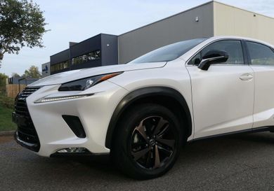 Lexus NX, 2019