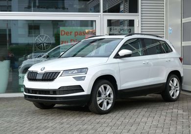 Skoda Karoq, 2019