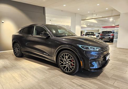 Ford Mustang Mach-E, 2021 3