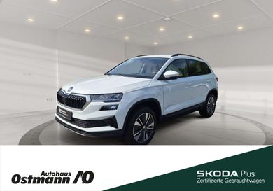 Skoda Karoq, 2023