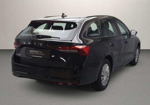 Skoda Octavia, 2026 2