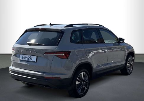 Skoda Karoq, 2023