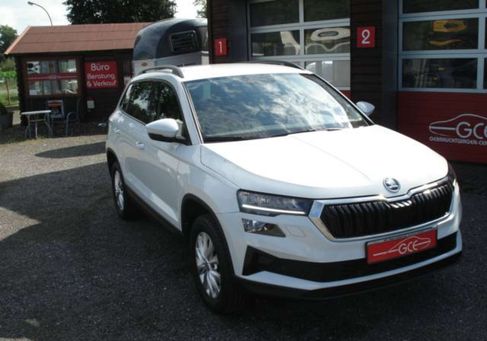 Skoda Karoq, 2023