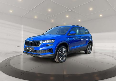 Skoda Karoq, 2023