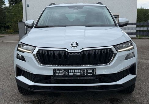 Skoda Karoq, 2025 3