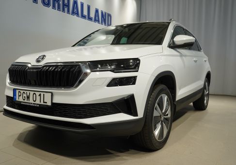 Skoda Karoq, 2023 3