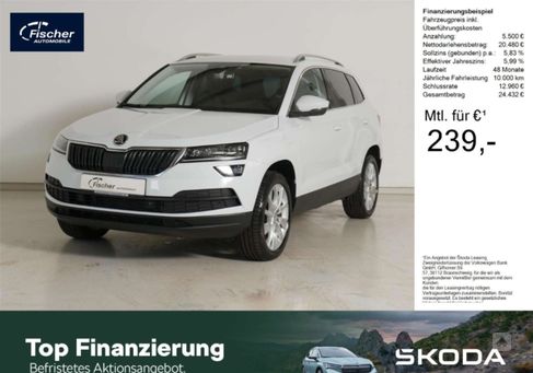 Skoda Karoq, 2020