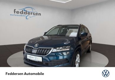Skoda Karoq, 2019