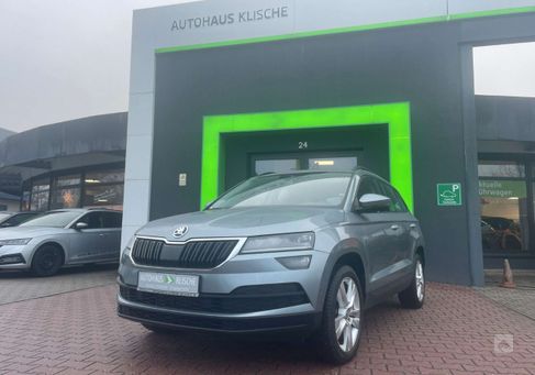 Skoda Karoq, 2019