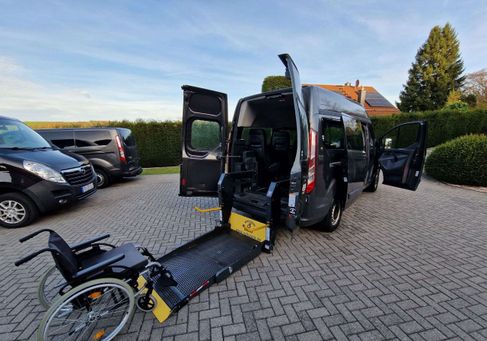 Ford Transit Custom, 2017