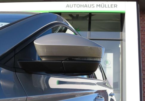 Skoda Karoq, 2019