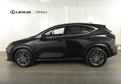 Lexus NX, 2024