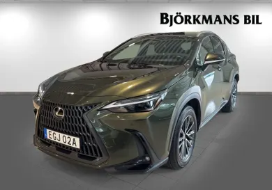 Lexus NX, 2023