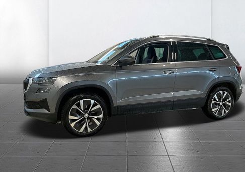 Skoda Karoq, 2023 2