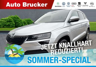 Skoda Karoq, 2021