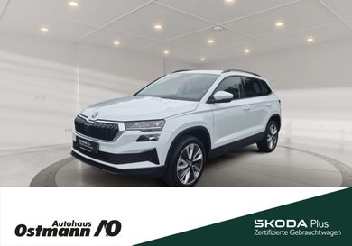 Skoda Karoq, 2023