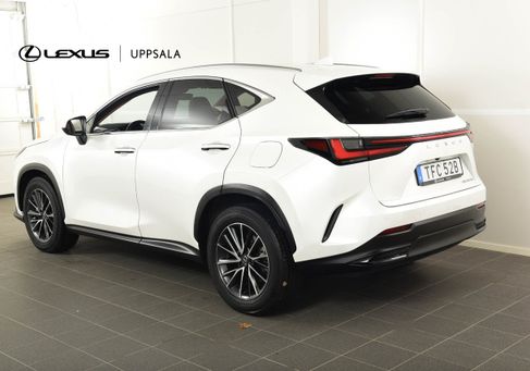 Lexus NX, 2023 2