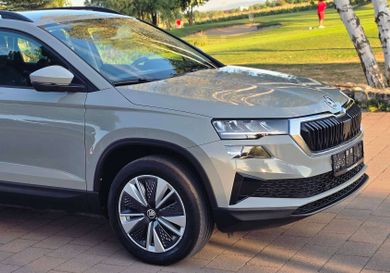 Skoda Karoq, 2023
