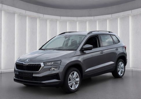 Skoda Karoq, 2024