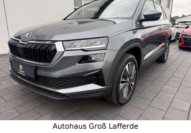 Skoda Karoq, 2023