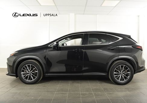 Lexus NX, 2023