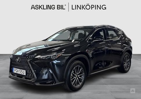 Lexus NX, 2024