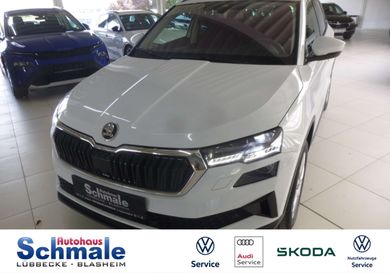 Skoda Karoq, 2024