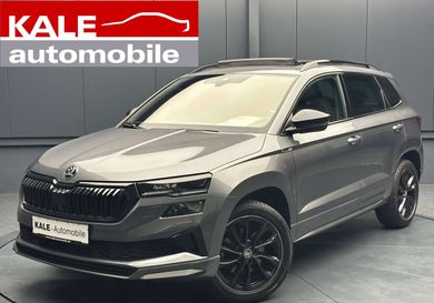 Skoda Karoq, 2023