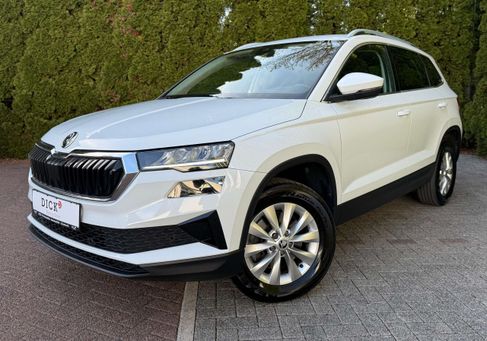 Skoda Karoq, 2023