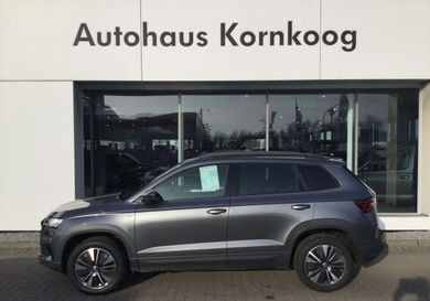 Skoda Karoq, 2022