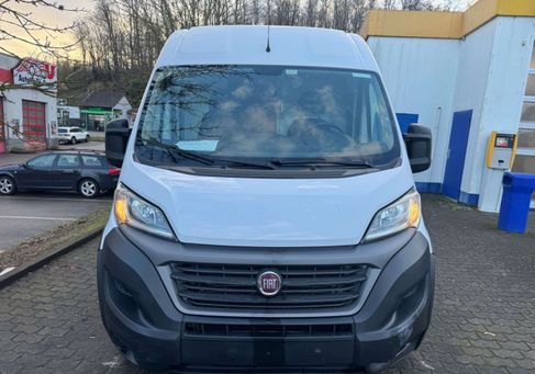 Fiat Ducato, 2021