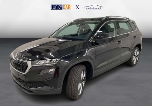 Skoda Karoq, 2024