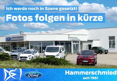 Ford Tourneo Connect, 2019
