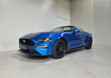 Ford, 2020